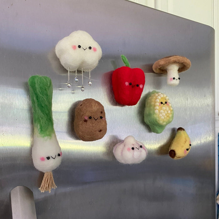 Fridge Magnets