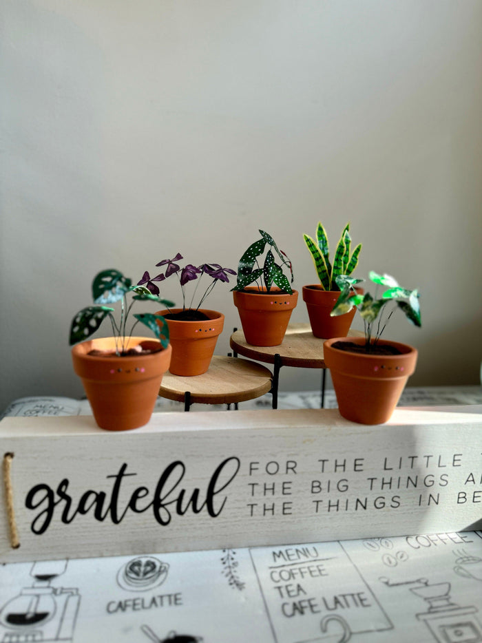 Handmade Plants