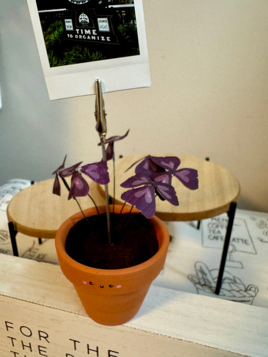 Purple Shamrock Oxalis Triangularis Handmade plant photo holder