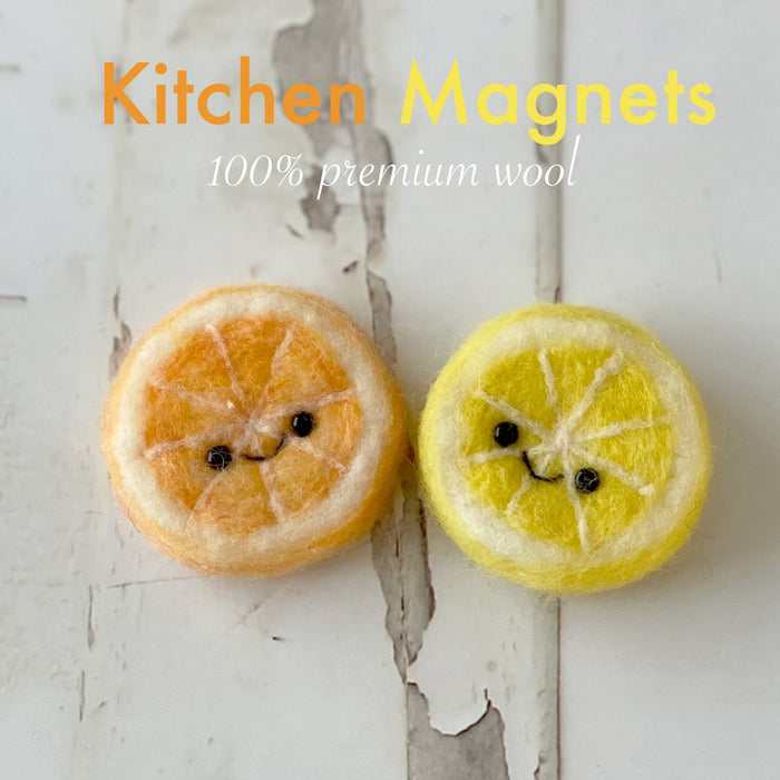 Orange Lemon Fridge Magnet - Assorted fruits