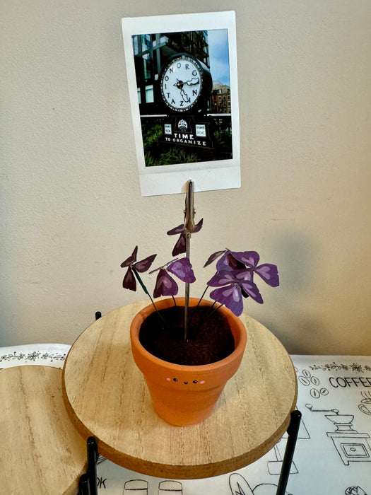Purple Shamrock Oxalis Triangularis Handmade plant photo holder