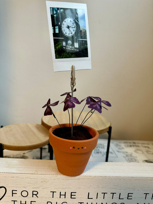 Purple Shamrock Oxalis Triangularis Handmade plant photo holder
