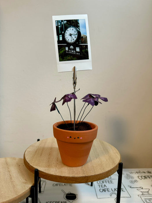 Purple Shamrock Oxalis Triangularis Handmade plant photo holder
